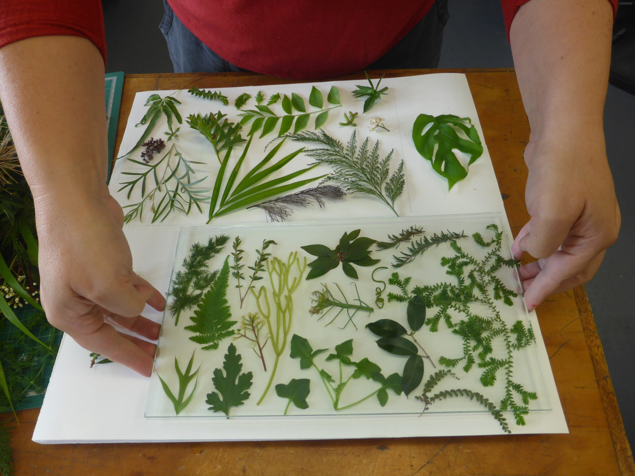 Creative Glass Guild QLD